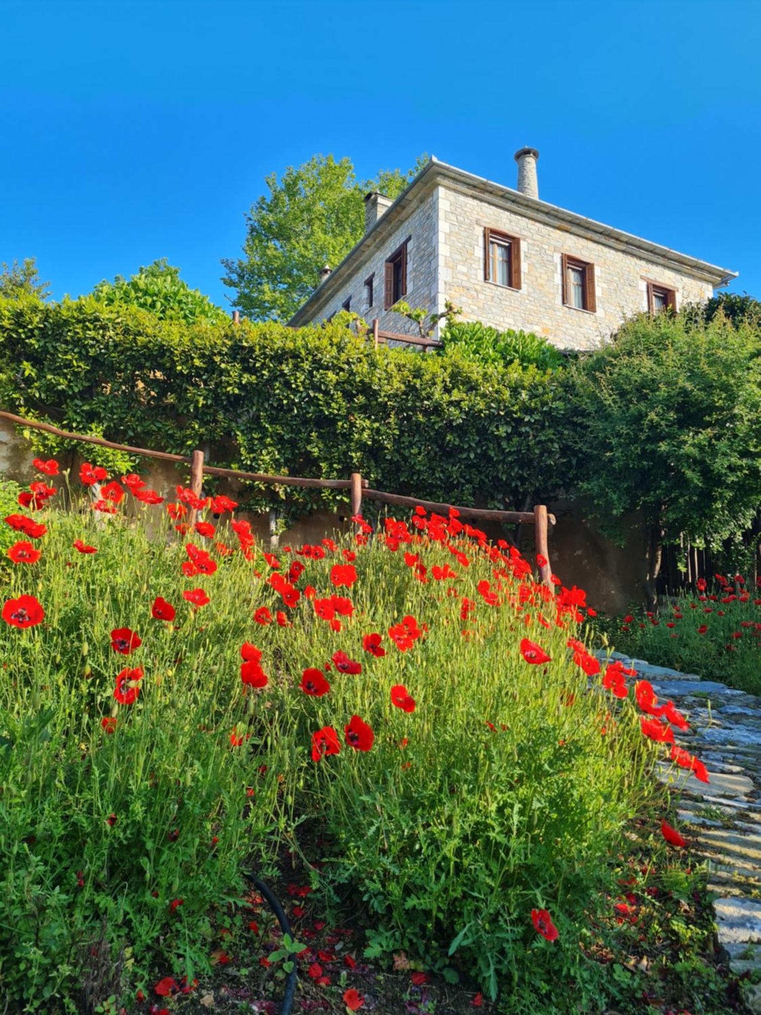 Amanita Boutique Hotel Tsagarada Zewnętrze zdjęcie