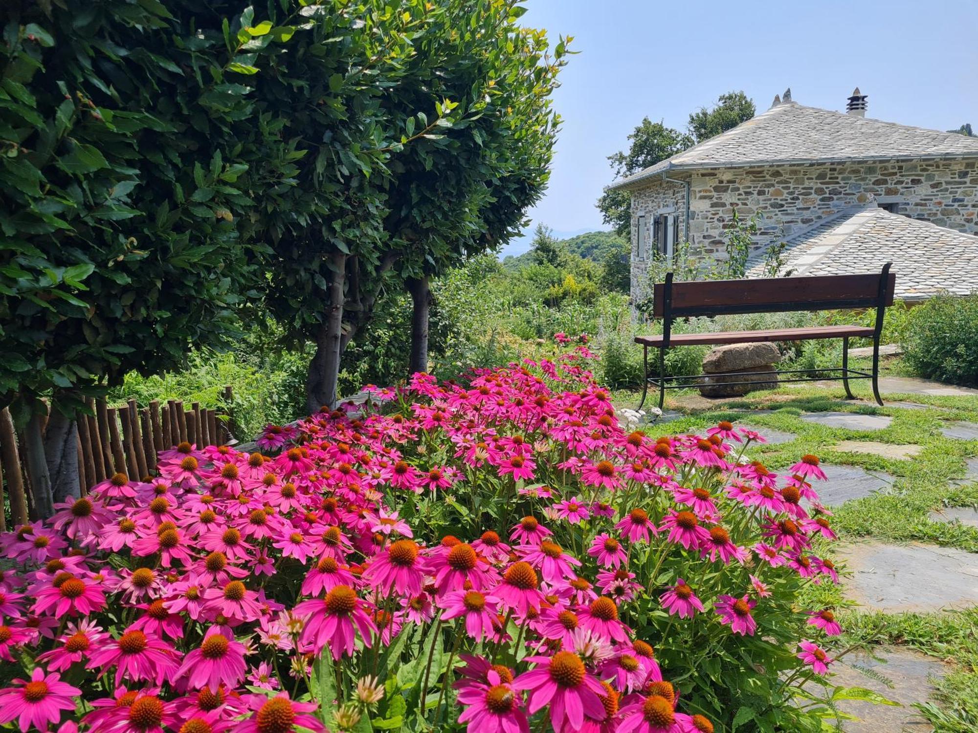 Amanita Boutique Hotel Tsagarada Zewnętrze zdjęcie
