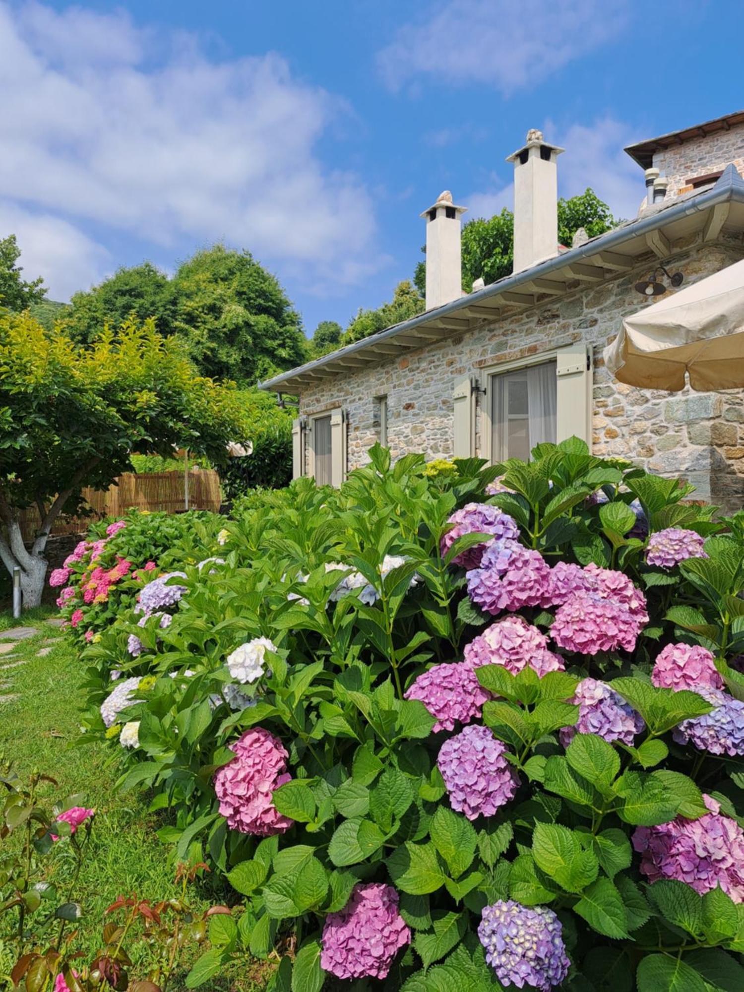 Amanita Boutique Hotel Tsagarada Zewnętrze zdjęcie